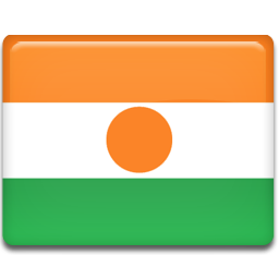 Flag, Niger Icon