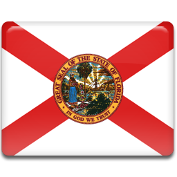 Flag, Florida Icon