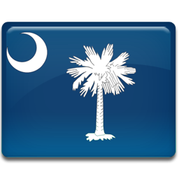Carolina, Flag, South Icon