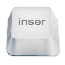 Inser Icon