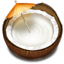 Coconut, Drink, Fruit Icon
