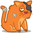 Cat, Pirate Icon