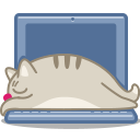 Cat, Laptop Icon