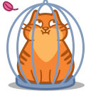 Cage, Cat Icon