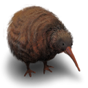Bird, Flightless, Kiwi Icon