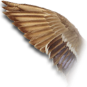 Wingduck Icon