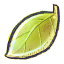 g, Leaf Icon
