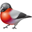 Bullfinch Icon