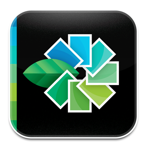 Snapseed Icon