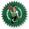 Celtics Icon