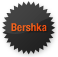 Bershka Icon