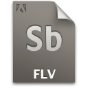 Document, File, Flv, Sb, Secondary Icon