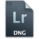 Dng, Document, File, Lr, Secondary Icon