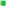 Bullet, Green Icon