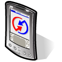 Beos, Palm Icon