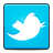 Bird, Social, Twitter Icon