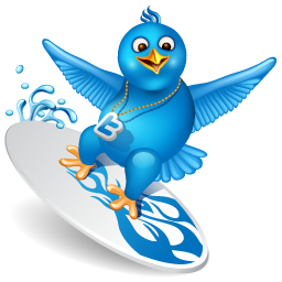 Bird, Surfing, Twitter Icon
