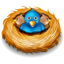 Birds, Nest, Twitter Icon