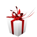Christmas, Giftbox, Present Icon
