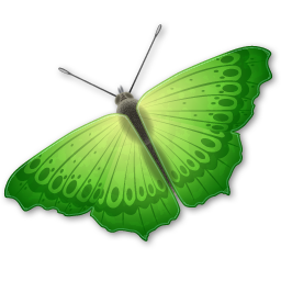 Animal, Butterfly, Insect Icon