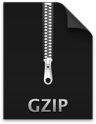 Gzip Icon