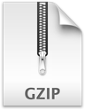Gzip Icon