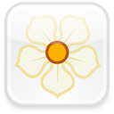 Badge, Magnolia Icon