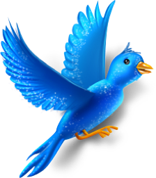 Animal, Bird, Fly, Twitter Icon