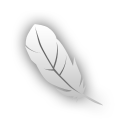 Feather, Photoshop, Ps Icon