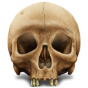Death, Kill, Skull Icon