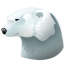 Bear, Polar Icon