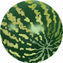 Melon, Water Icon