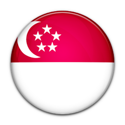 Flag, Of, Singapore Icon