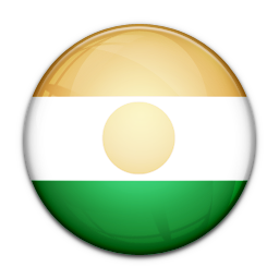 Flag, Niger, Of Icon