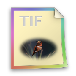 Files, Tif Icon