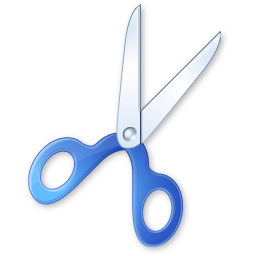 Cut Icon