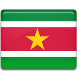 Flag, Suriname Icon