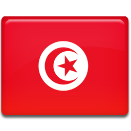 Flag, Tunisia Icon