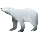 Bear, Polar Icon