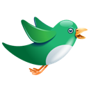 Birdie, Green, Twitter Icon
