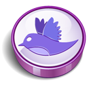 Cooky, Purple, Twitter Icon