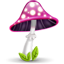 Mushroom, Pink Icon