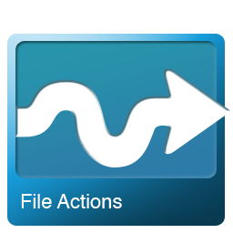 Actions, File Icon