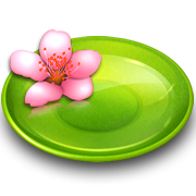 Flower, Plate Icon