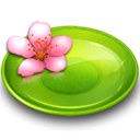 Flower, Plate Icon