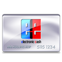 Cash, Electronic Icon
