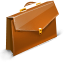 Case Icon