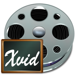 Fichiers, Xvid Icon