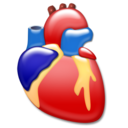 Cardiology, Heart, Organ Icon