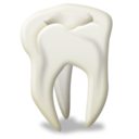 Odontology Icon